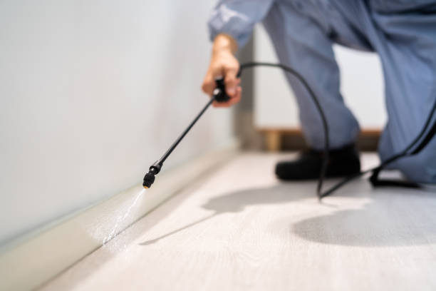 Licensed Mosquito Control service in Bishop, CA - Show Me Pest Control