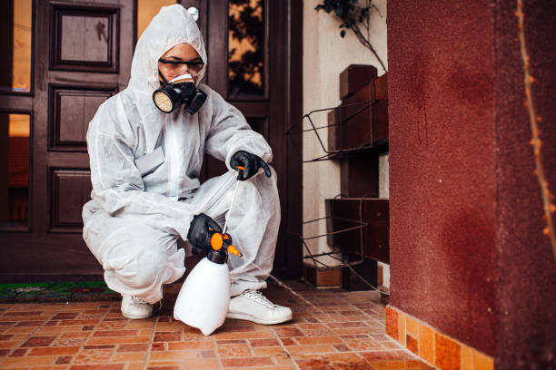 Reliable Mosquito Control contractor in Bishop, CA by Show Me Pest Control